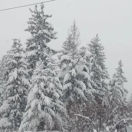 Cicha Dolinka * Zakopane