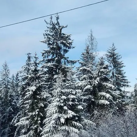 Cicha Dolinka * Zakopane
